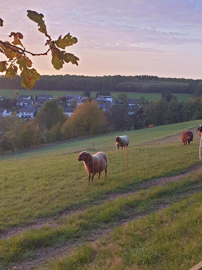 Andinas Ferienwohnung In Ruhiger Lage Direkt Am Wald Wilnsdorf Экстерьер фото